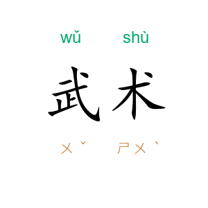 武术