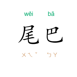尾巴