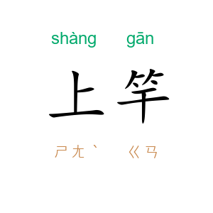 上竿
