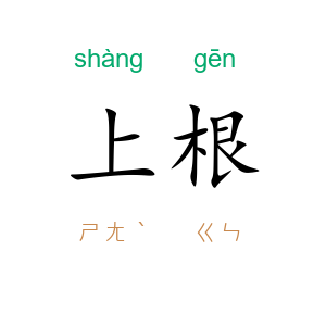上根