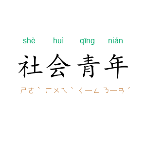 社会青年