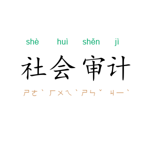 社会审计