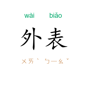 外表