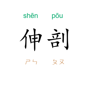伸剖