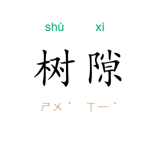 树隙
