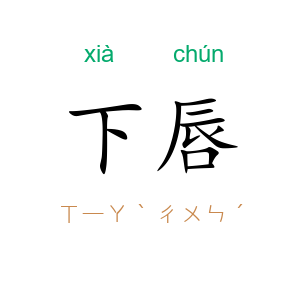 下唇