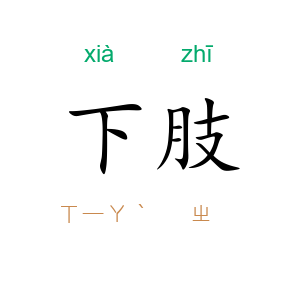下肢