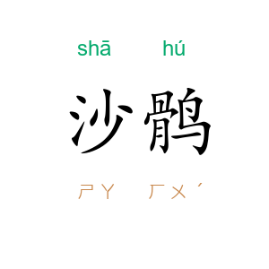 沙鹘