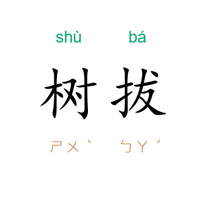 树拔