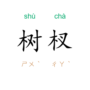 树杈