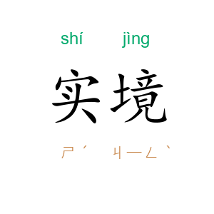 实境