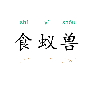 食蚁兽