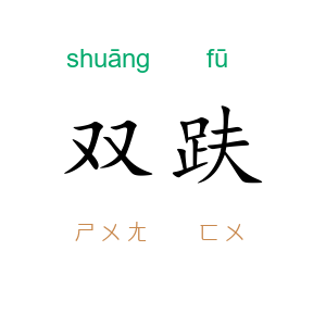 双趺