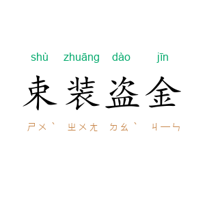 束装盗金