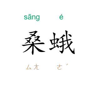 桑蛾