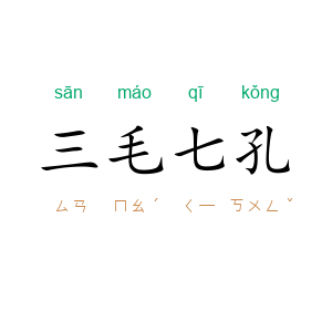 三毛七孔