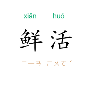 鲜活