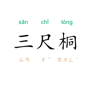 三尺桐