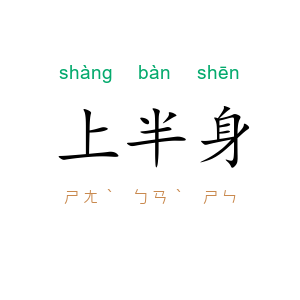 上半身