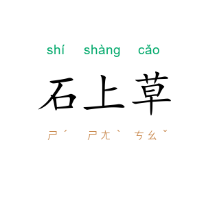 石上草