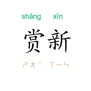 赏新