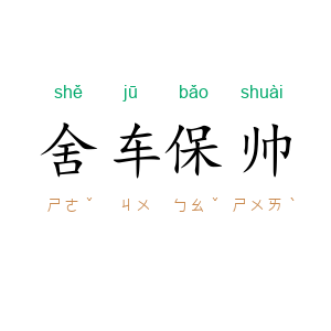 舍车保帅