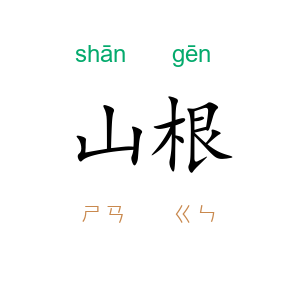 山根