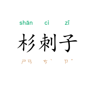 杉刺子