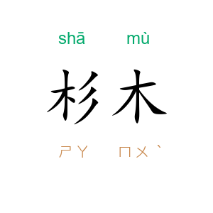 杉木
