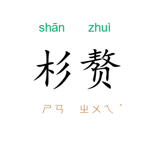 杉赘