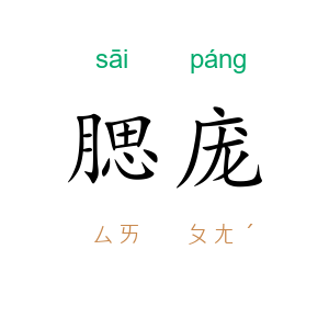 腮庞