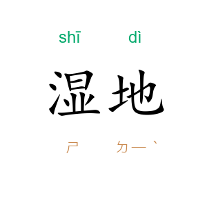 湿地
