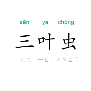 三叶虫