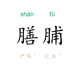 膳脯