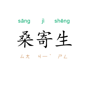 桑寄生