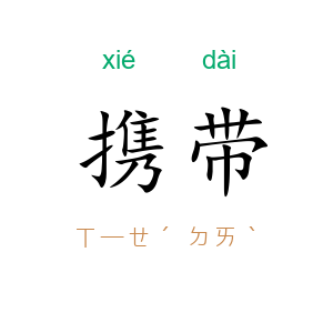 携带