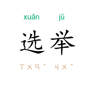 选举