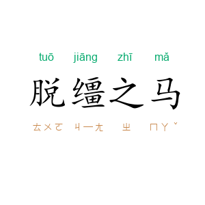 脱缰之马