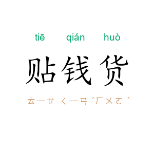 贴钱货
