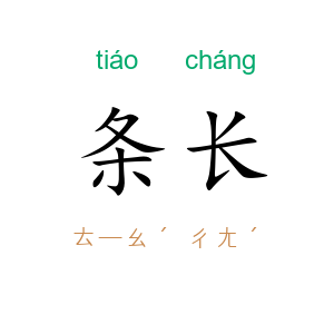 条长
