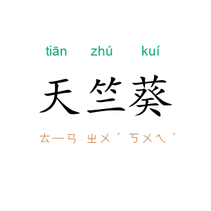 天竺葵