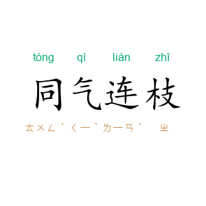 同气连枝