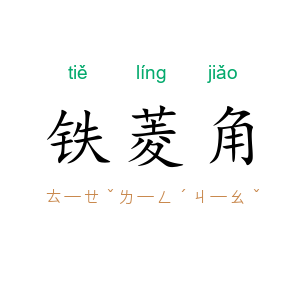 铁菱角