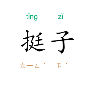 挺子