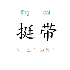 挺带
