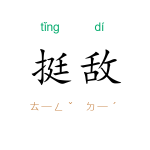 挺敌