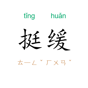 挺缓