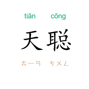天聪