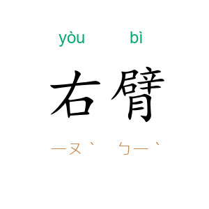 右臂