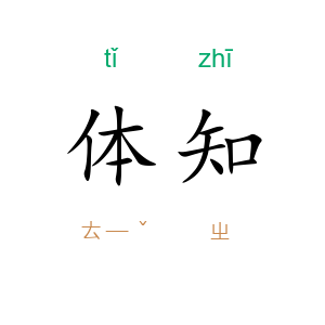 体知